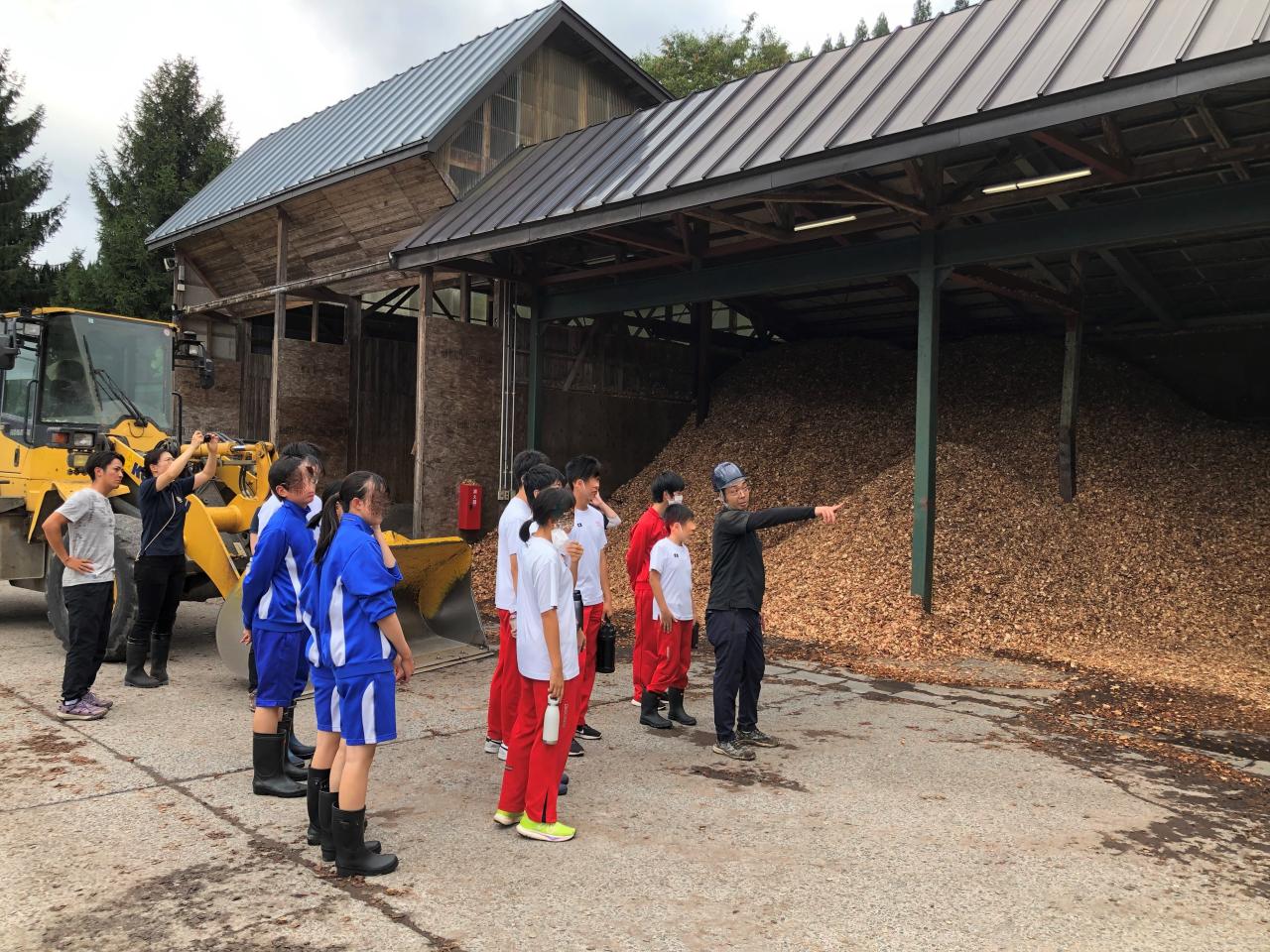 チップ工場見学